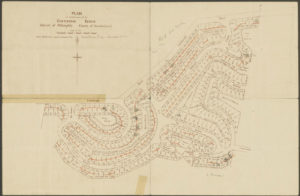 Castlecrag and Walter Burley Griffin: Diary of a renovation